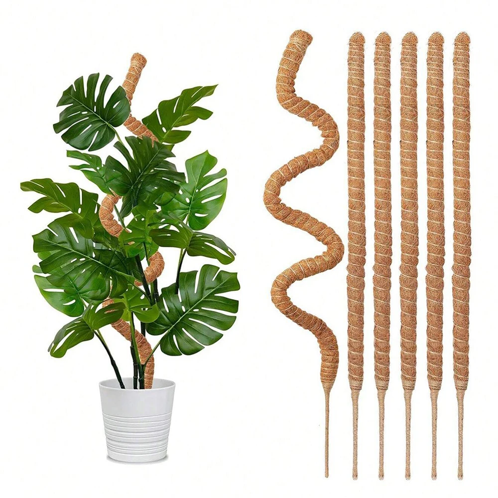 Plant Support Stake - モンステラ植物用、苔柱、支柱、屋内用つる性植物用トレリス、鉢植え植物用支柱