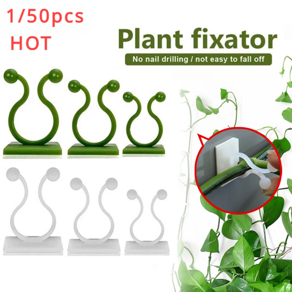 Plant Support Stake - 植木鉢とプランター,クライミングウォール,屋外装飾ランプ,植物のサポート,つるクリップアクセサリー,1個,30個,50個