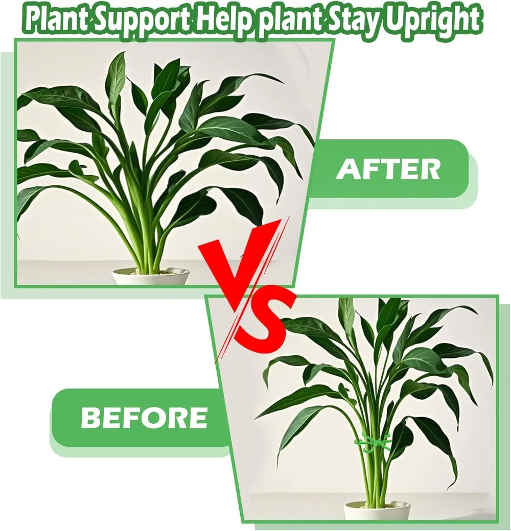 花植物茎サポートステーククライミング観葉植物スタンドフレーム - Plant Support Stake のレビューと価格