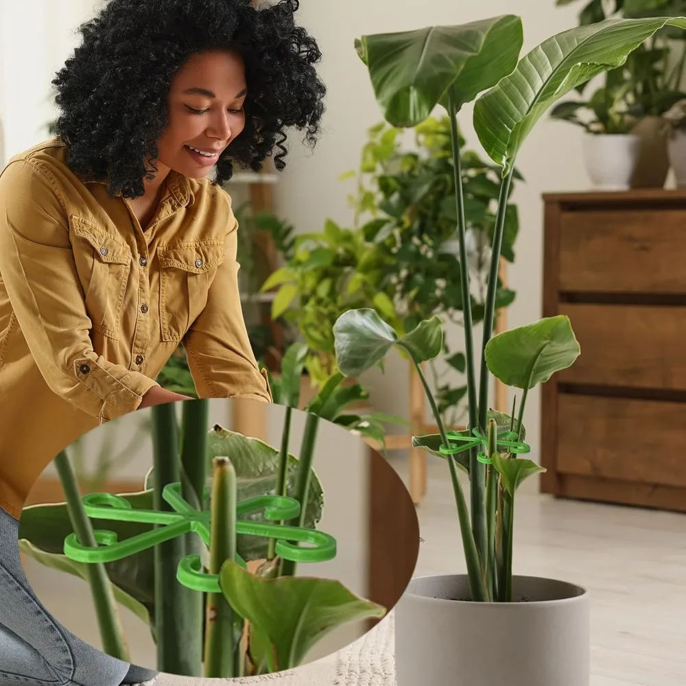花植物茎サポートステーククライミング観葉植物スタンドフレーム - Plant Support Stake のレビューと価格