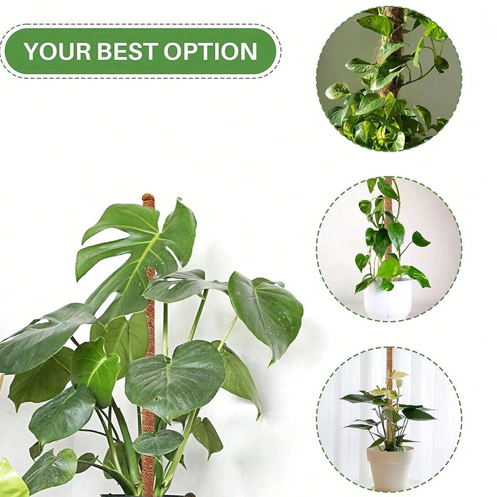 モンステラ植物用、苔柱、支柱、屋内用つる性植物用トレリス、鉢 - Plant Support Stake のレビューと価格
