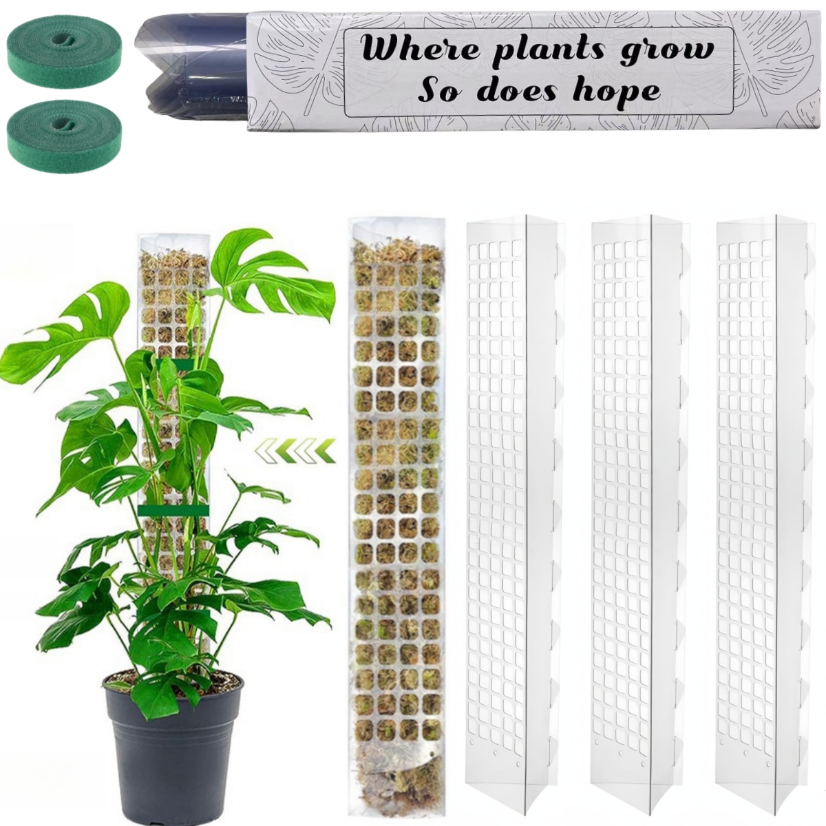苔ポールプラスチック植物スタンド屋内登山植物ガーディアン家庭 - Plant Support Stake のレビューと価格