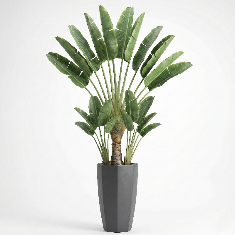 高シミュレーションプラスチック製フィドルリーフフィグツリー人 - Fiddle Leaf Fig のレビューと価格