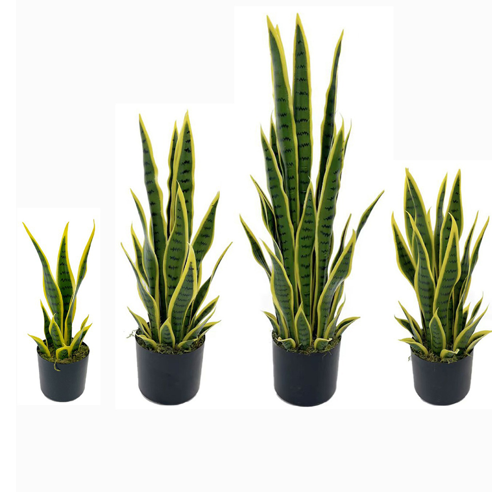 40-100cmの人工サンセヴィエリア（スネークプラント）黒 - Snake Plant のレビューと価格