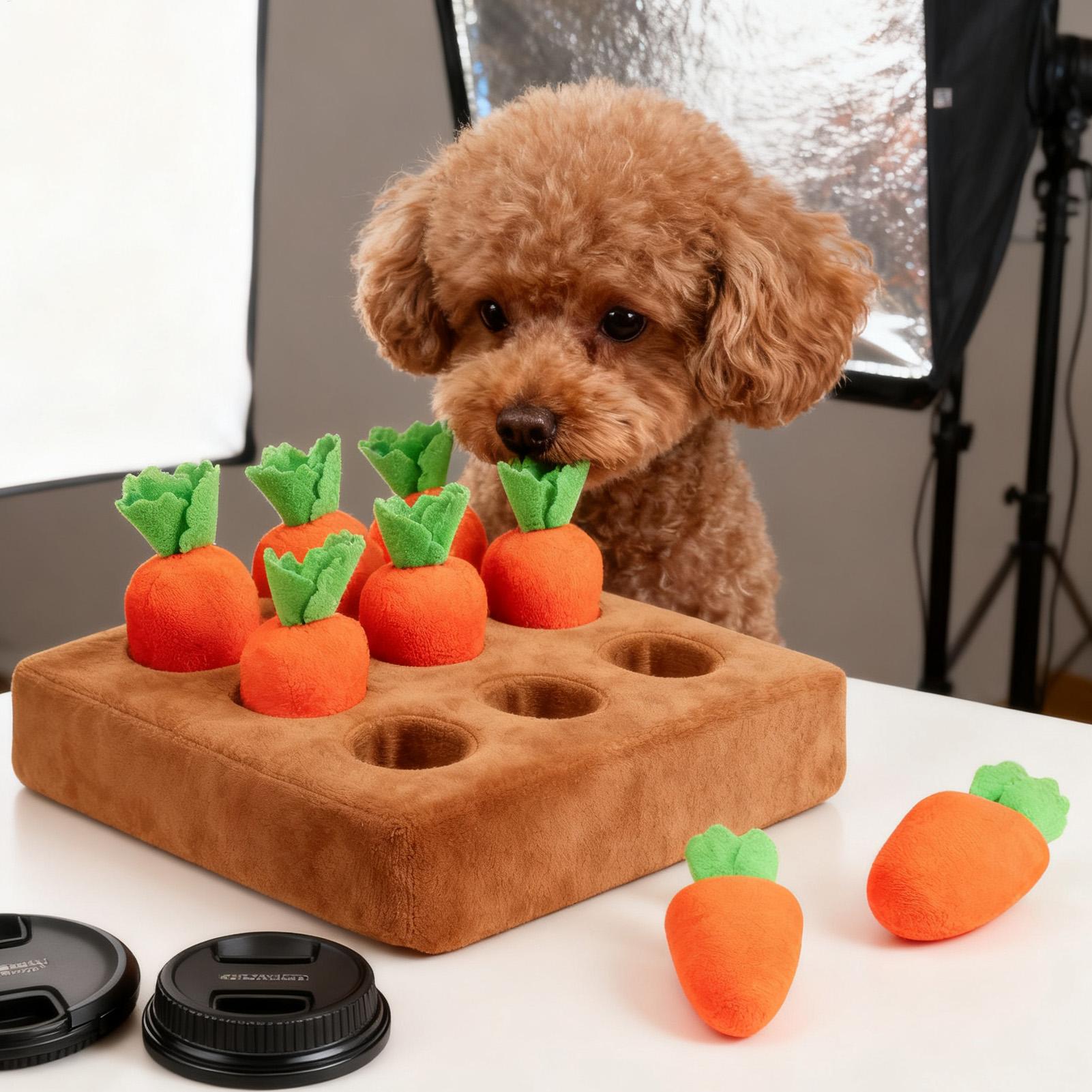ペット用キャロット型インタラクティブおもちゃ 犬用おもちゃ  - Repotting Mat のレビューと価格