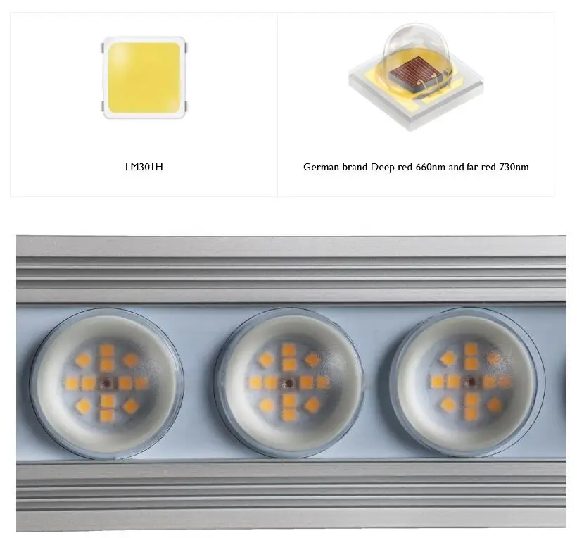 コレイ 900W 室内用フルスペクトル植物育成ライト LED - Indoor Plants のレビューと価格