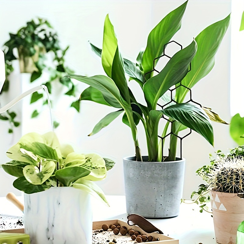 1PC ハニカムデザイン植物トレリス、鉢植えのつるや花用の防 - Terracotta Pot のレビューと価格